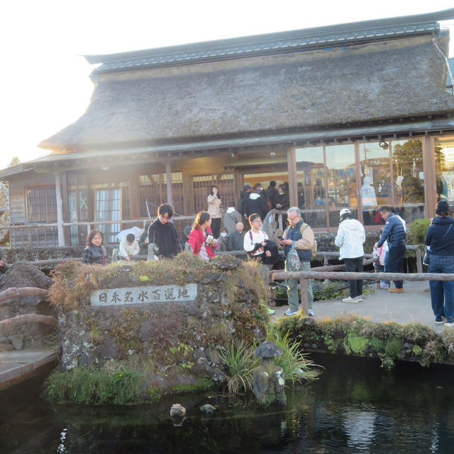 Mt. Fuji View from Oshino Hakkai (忍野八海):