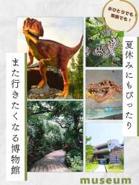 夏休みにもぴったり！また行きたくなる国内博物館🌟