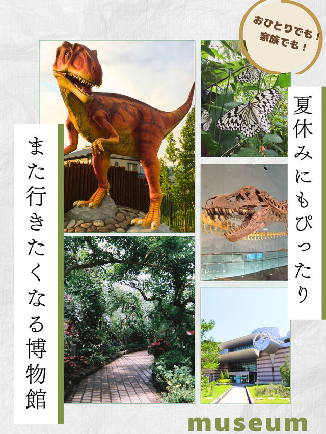 夏休みにもぴったり！また行きたくなる国内博物館🌟