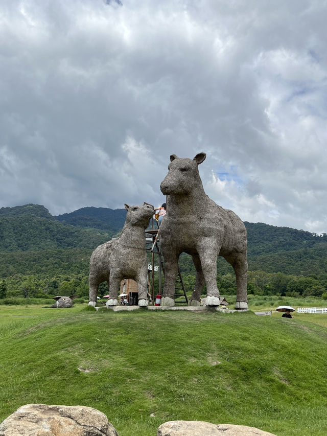 🌿 Escape to Chiang Mai’s Hidden Pastoral Paradise