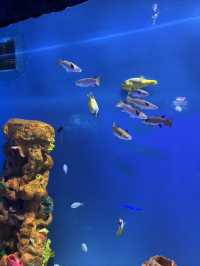 Stroller-Friendly Fun at Aquaria KLCC 👶🐠