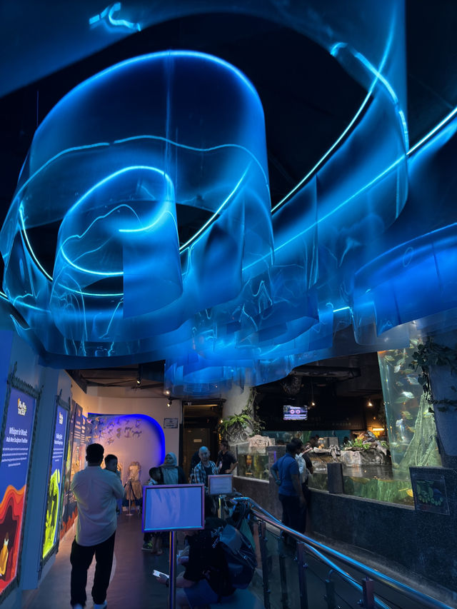 Learn Through Fun at Aquaria 📚🐟