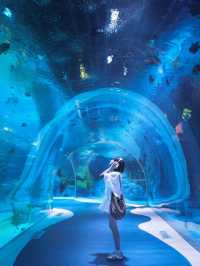🐧 Harbin Polarland – China’s First Polar Aquarium