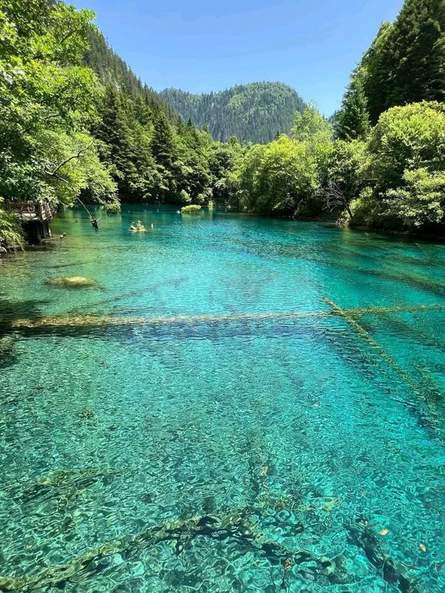 Jiuzhaigou: China’s Hidden Paradise of Colors