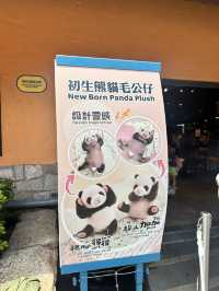 終於第一次見到香港龍鳳胎😍🐼