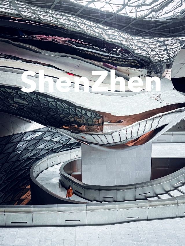 Shenzhen Museum of Contemporary Art 