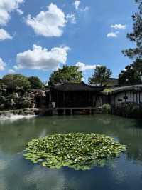Charming Classic Garden Escape at Master of Nets Garden