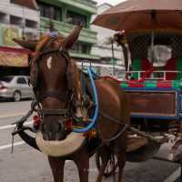 15 จุดเช็คอิน เที่ยวลำปางสโลว์ไลฟ์