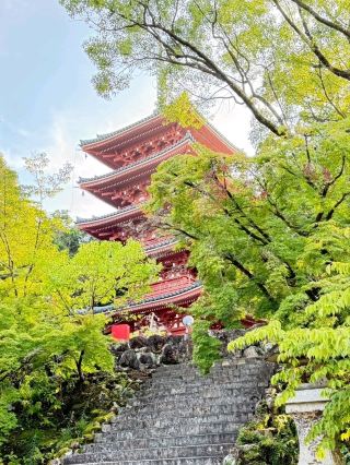 A Stroll Through Time at Chikurin-ji Temple and Its Five-Story Pagoda