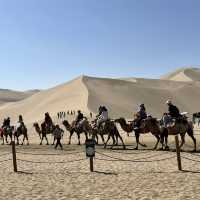 A Desert Park Like No Other 