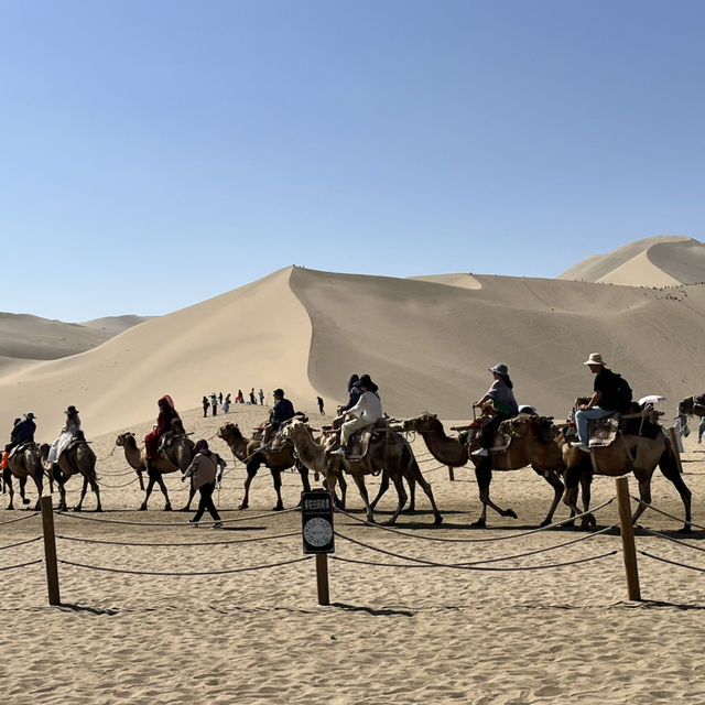 A Desert Park Like No Other 