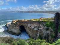 聖地牙哥 La Jolla 拉荷亞海灣 與海獅海豹一起賞日出