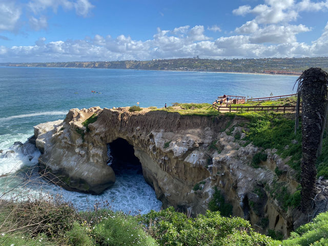 聖地牙哥 La Jolla 拉荷亞海灣 與海獅海豹一起賞日出