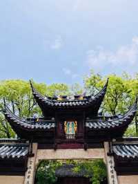 Tracing History Through Ancient Turtles and Centuries-Old Wisteria