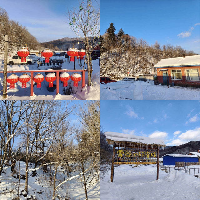 สัมผัสหิมะ ที่ หุบเขาหิมะ ราคาประหยัด...Snow valle