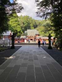 【鹿児島・霧島市】⛩️霧島神宮🏺黒酢ガーデン壺畑〜霧の聖地と黒酢壺の歴史旅〜