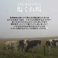 【みんなはもう行った？】長野県定番スポット‼️