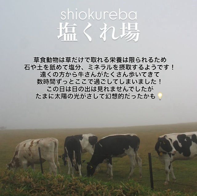 【みんなはもう行った？】長野県定番スポット‼️