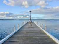 🎠 The Carousel – Nostalgia by the Bay, Geelong 