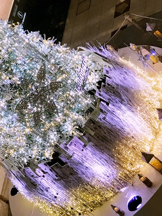 横浜ランドマークプラザのクリスマスツリー&ライトアップショーの撮影コツ+2025–2026年イベント 横浜ランドマークプラザのクリスマスツリー&ライトアップショーの撮影コツ+2025–2026年イベント