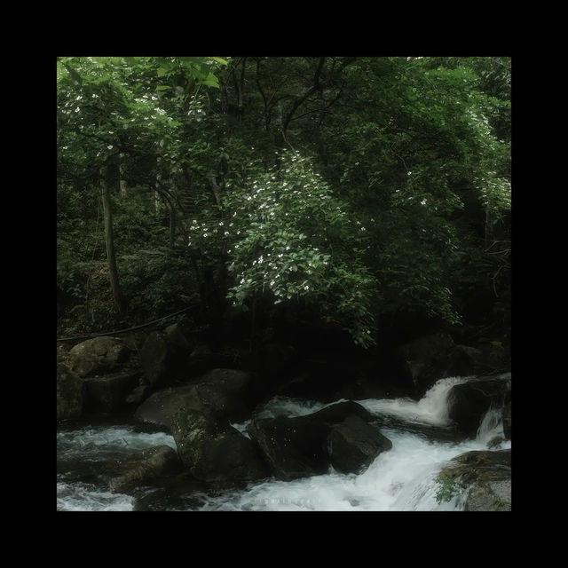 【賀州姑婆山|雲霧深處的一場慢時光】 【賀州姑婆山|雲霧深處的一場慢時光】