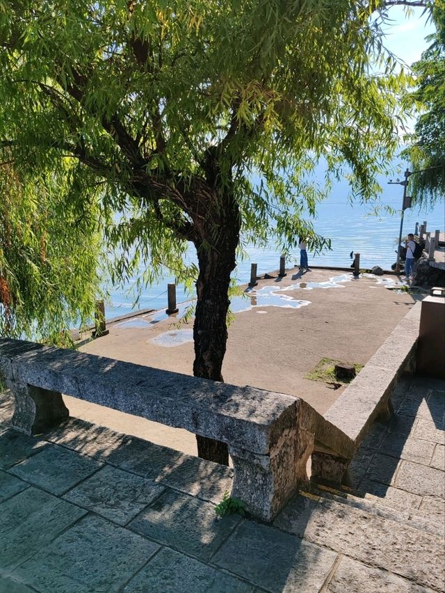 Island Stroll: Embracing the Beauty of Erhai Lake