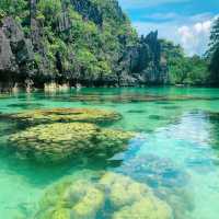 自然体験🌊🏝️