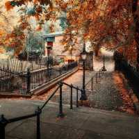 Its the jewel of Edinburgh for everyone. Filled with flowers, green fields, shady trees