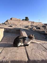 ［埃及旅遊］貓與女神的神殿🐈‍⬛菲萊島上的伊西斯傳說👸菲萊神殿