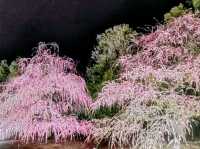 梅とグルメの一泊二日