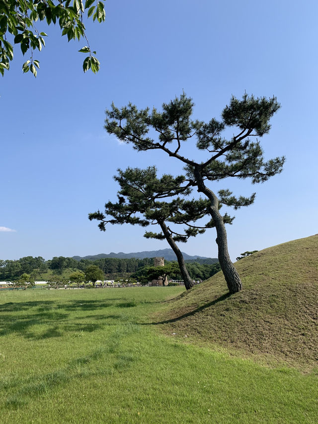 한국의 전통을 볼 수 있는 경주 1박 2일 여행 기록🇰🇷