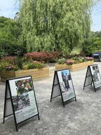 태안간다면 꼭! 바다와 숲이 어우러진 자연 속 힐링 공간