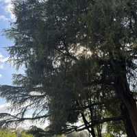 Villa Borghese – Rome’s Green Cultural Haven