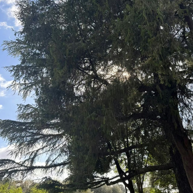 Villa Borghese – Rome’s Green Cultural Haven