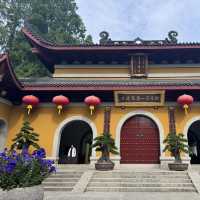Hangzhou’s Temple Glow✨