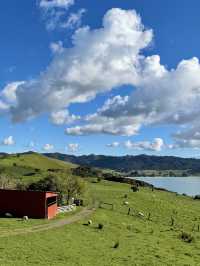 Nature’s Canvas: Exploring New Zealand’s Living Landscapes 