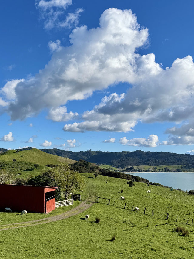 Nature’s Canvas: Exploring New Zealand’s Living Landscapes 