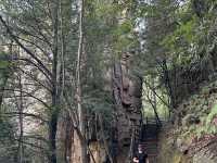 Beautiful, alternative hiking experience