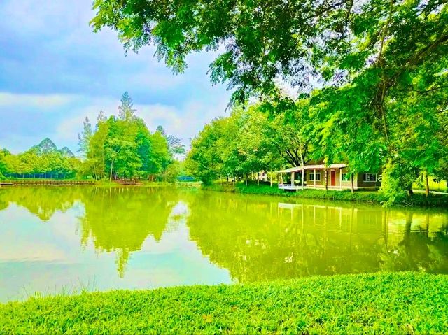 鄉村田園體驗：美蘇克農場（Mesook Farm）