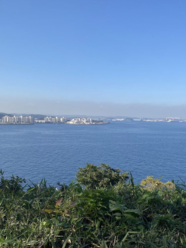 【東京湾に浮かぶ無人島🏝️猿島🐵】不思議な無人島体験レポ‼️