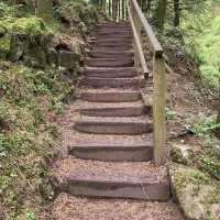 Ballard Waterfall Forest Recreational Area – Hidden Cascades & Woodland Loops of North Cork
