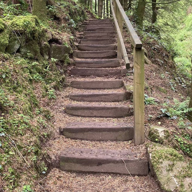 Ballard Waterfall Forest Recreational Area – Hidden Cascades & Woodland Loops of North Cork