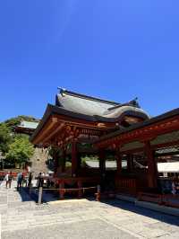 鐮倉｜不只櫻花季絕美 在荷花最美季節造訪鶴岡八幡宮