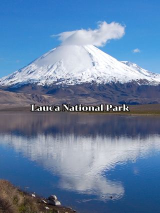 Lauca National Park 
