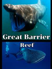 GreatBarrierReef