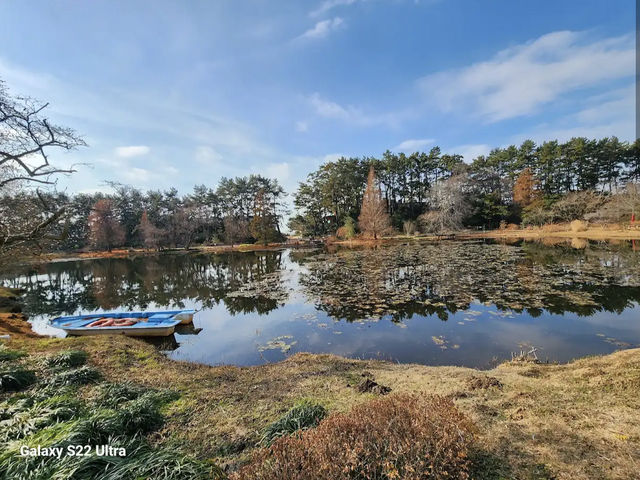 천리포수목원 천리포수목원