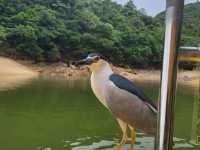 Wong Nai Chung Reservoir Park黃泥涌水塘公園