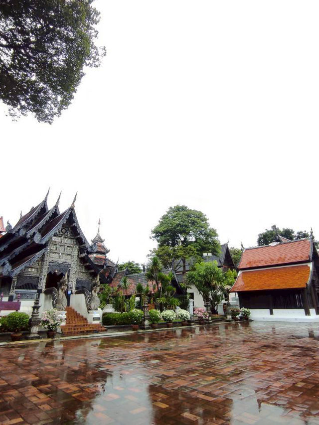วัดเจดีย์หลวงวรวิหาร(Wat Chedi Luang Worawihan)🙏 วัดเจดีย์หลวงวรวิหาร(Wat Chedi Luang Worawihan)🙏