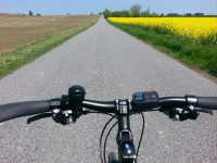 Cycling Through Denmark Freedom on Two Wheels