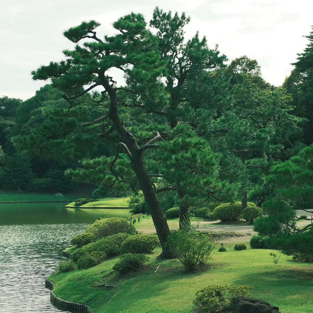荒崎公園絕美湖泊🌲  